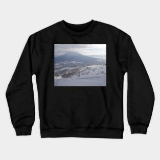 Take me to the ski fields! Crewneck Sweatshirt